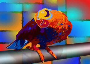 Tropic Parrot Bird